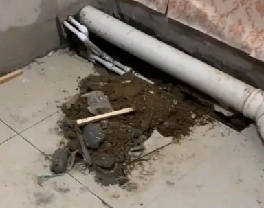 高唐卫生间漏水检测哪家好
